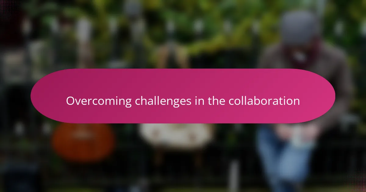 Overcoming challenges in the collaboration